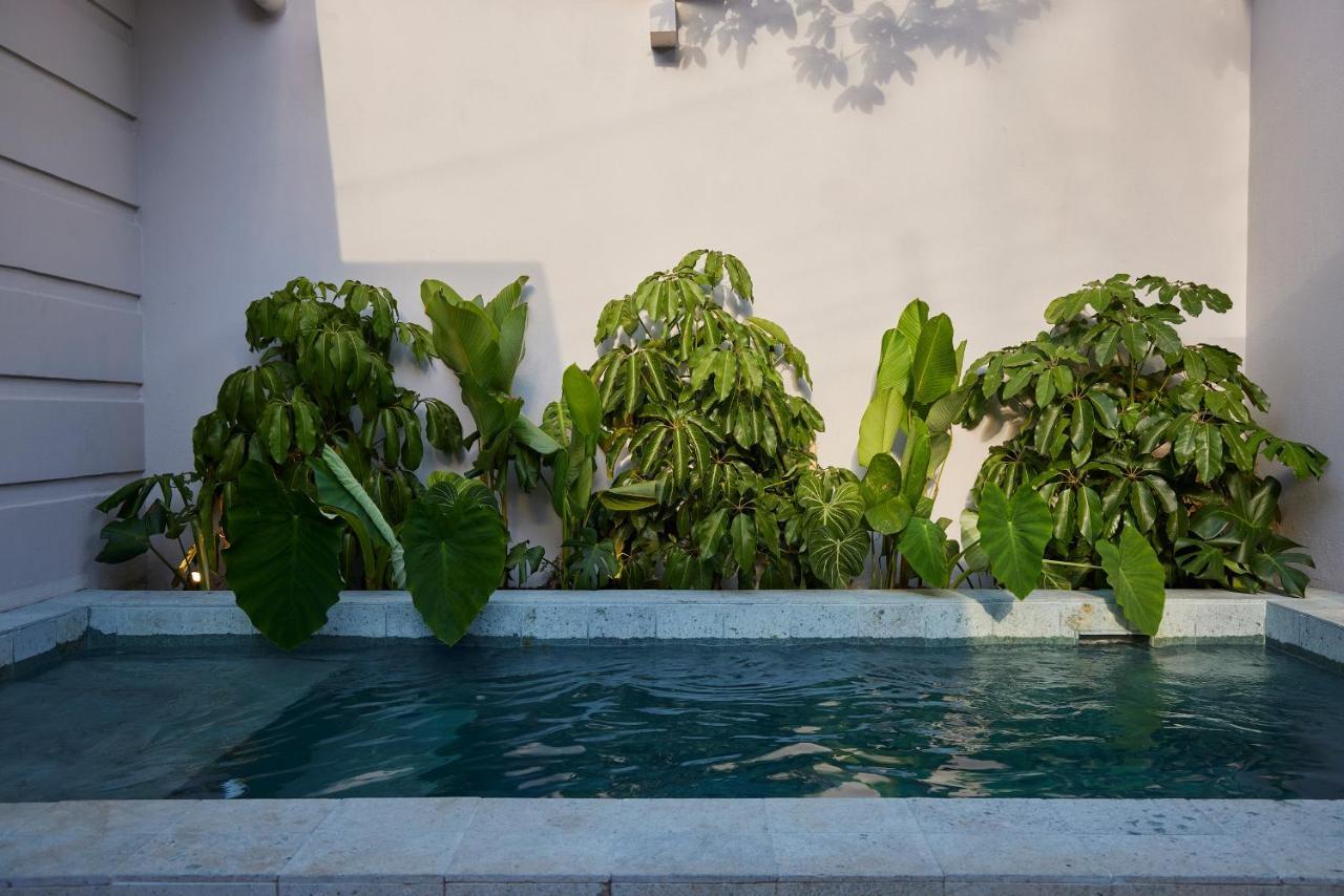 Antipoda Hotel Boutique Medellín Dış mekan fotoğraf
