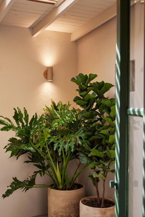 Antipoda Hotel Boutique Medellín Dış mekan fotoğraf